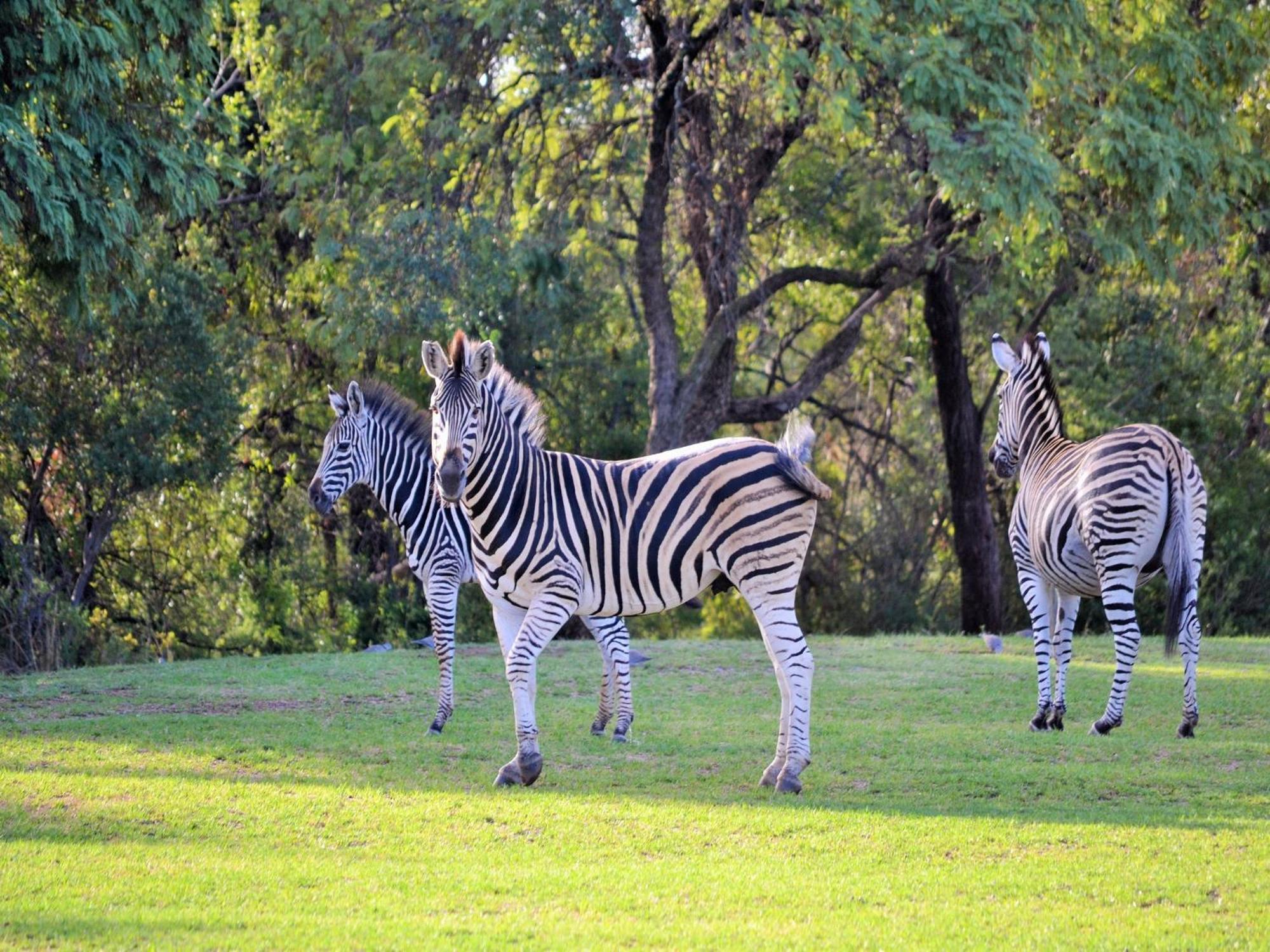 Elements Private Golf Reserve Бела-Бела Экстерьер фото